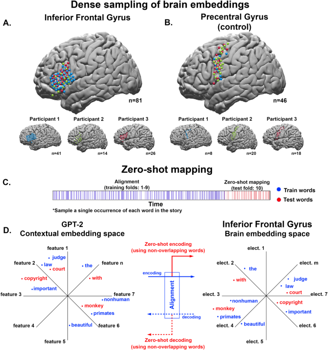 Alignment of brain embeddings and artificial contextual embeddings in natural language points to common geometric patterns dlvr.it/T4rSCG v/ @NatureNews