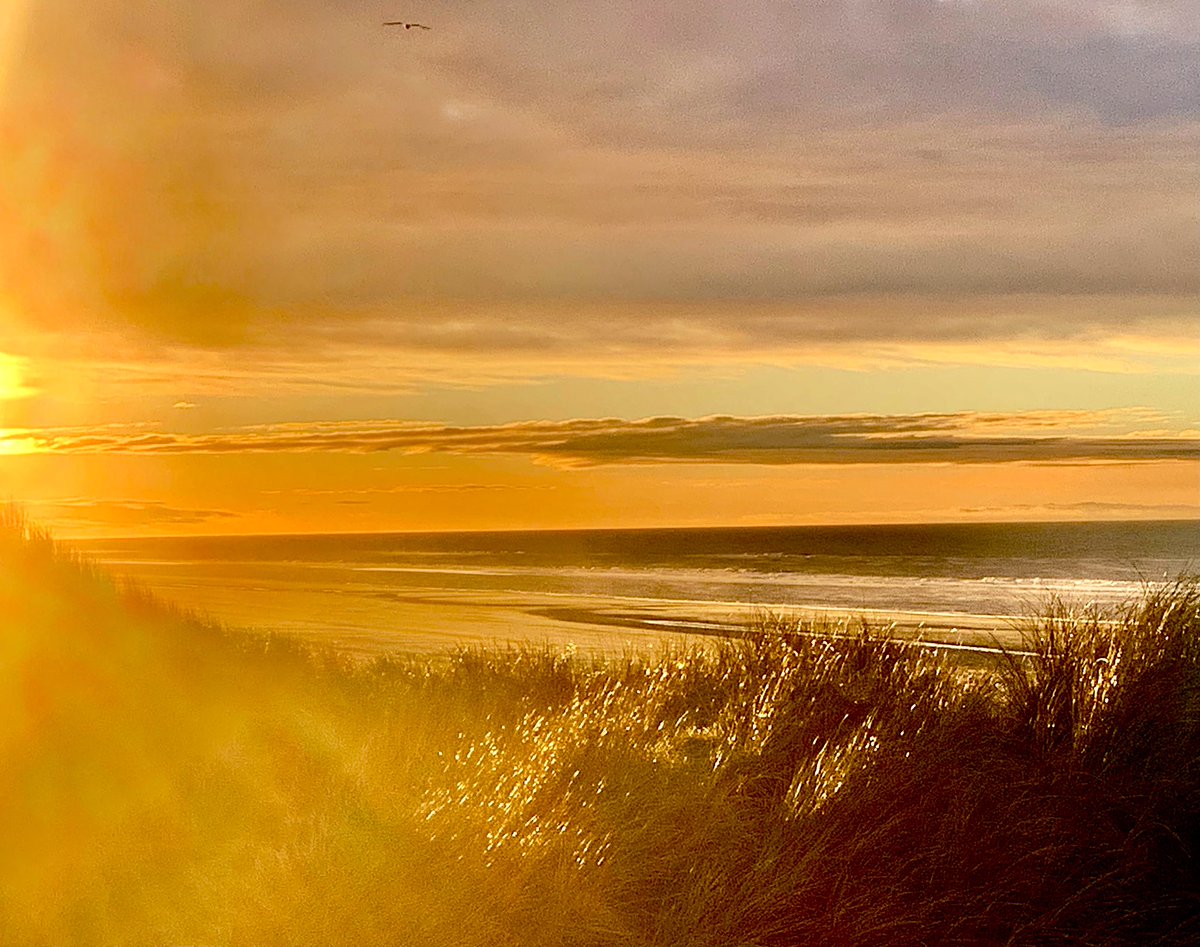 richardtkiewiet (@richardtkiewiet) on Twitter photo 