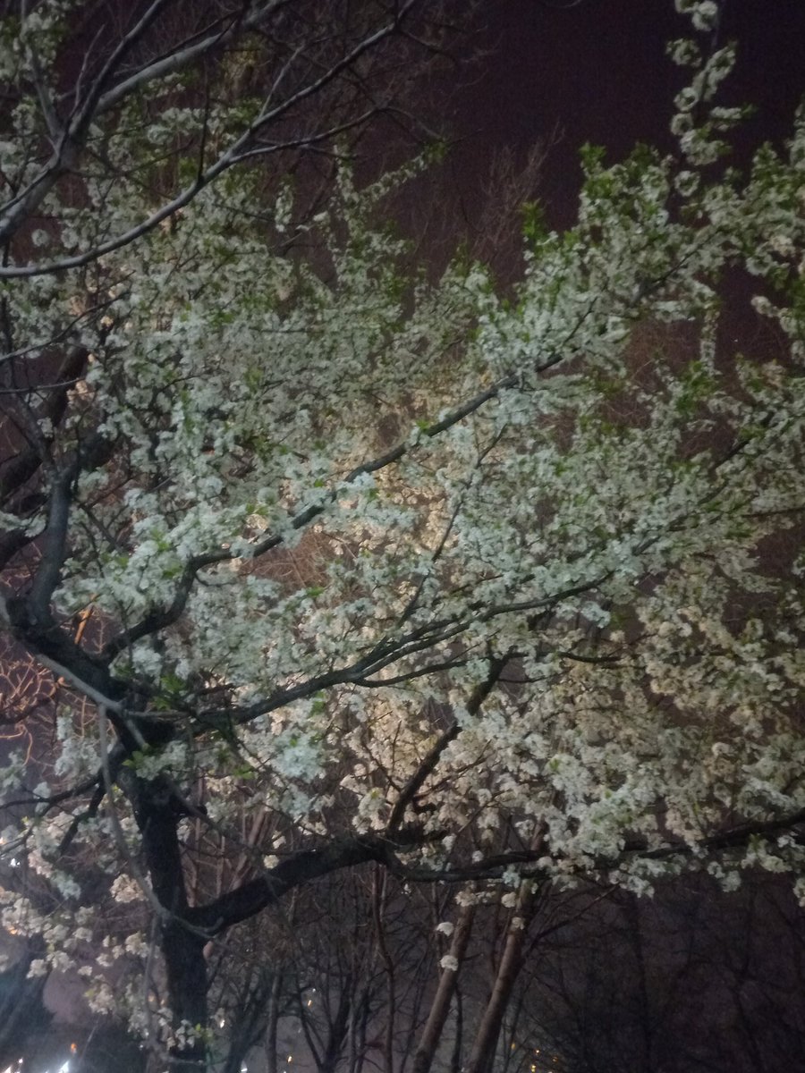fnlb_official's tweet photo. Flowerr!!! ⭐️.
I haven't been able to sing for a few days because I've been sick.

Don't fall in love, it's very bad.

Hey, hey, you should also follow fnlb_official Instagram account!
https://t.co/JEBDyIxzLa https://t.co/uE9H3tO6qi