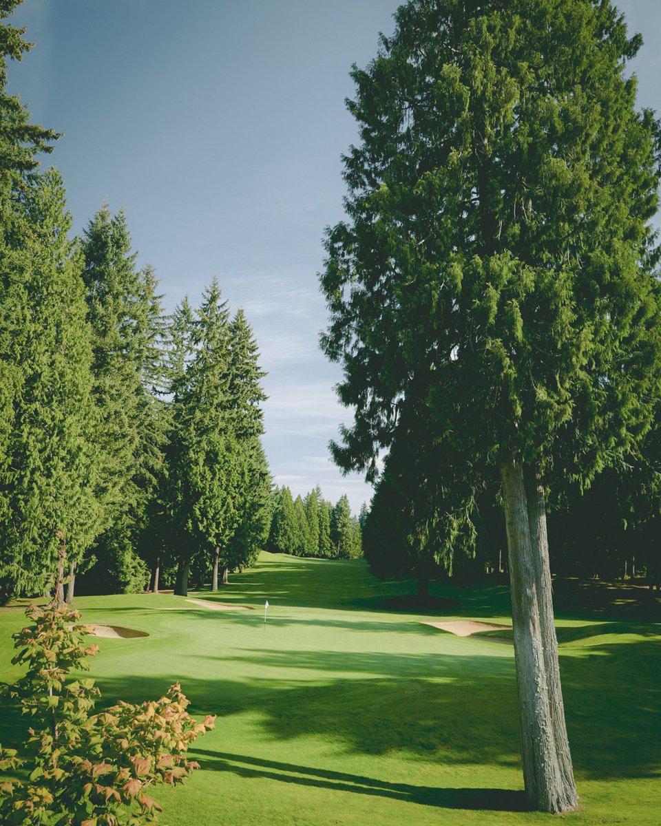 All roads lead to Sahalee! #KPMGWomensPGA | #SahaleeSaturday