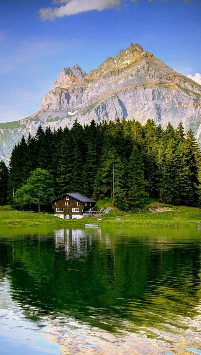 nature_zoo007's tweet image. Midnight  with seen natural photography #RIPDanielBalaji