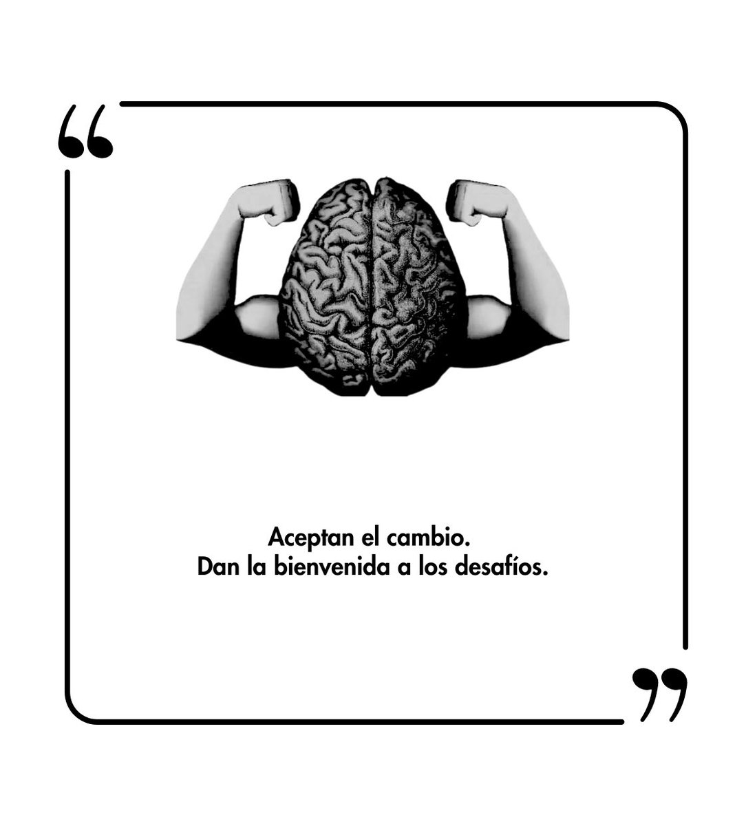 PropositoyVida's tweet photo. 6 Cosas que hacen las personas mentalmente fuertes:

- Hilo de Psicología -

1. https://t.co/CInRmBCzpv