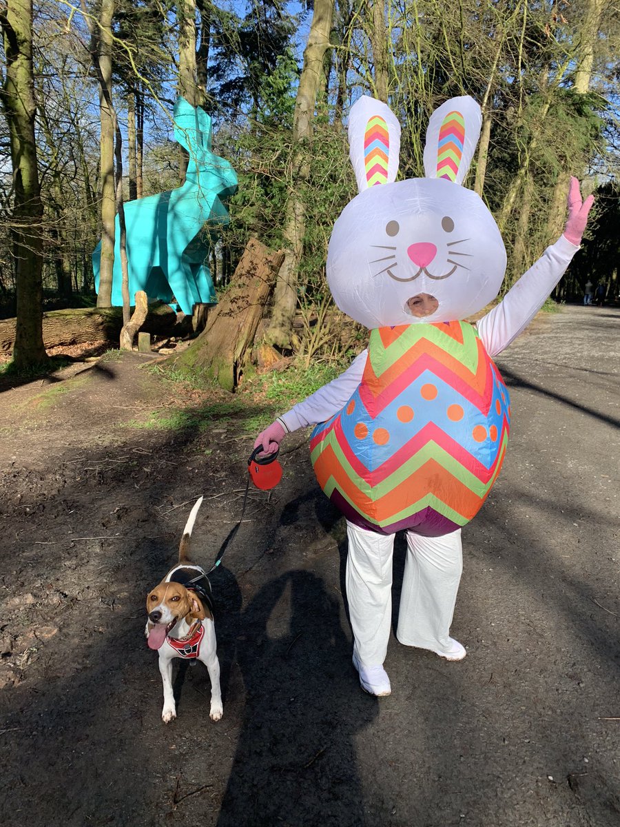 Well now…would you ever look who I found in Hillsborough. The Easter 🐇 of course yehahing and whooping at the park run folk. 🧐 Hopefully @Bubblesduffy1 is found.@setrust fantastic digital lead nurse is MIA… it’s a conundrum