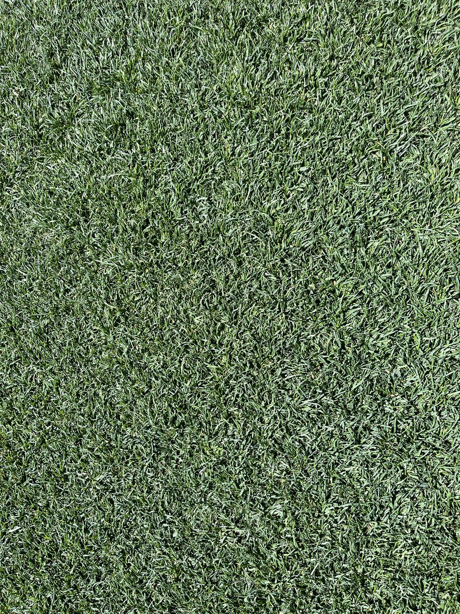 sPORTs_grass tweet picture