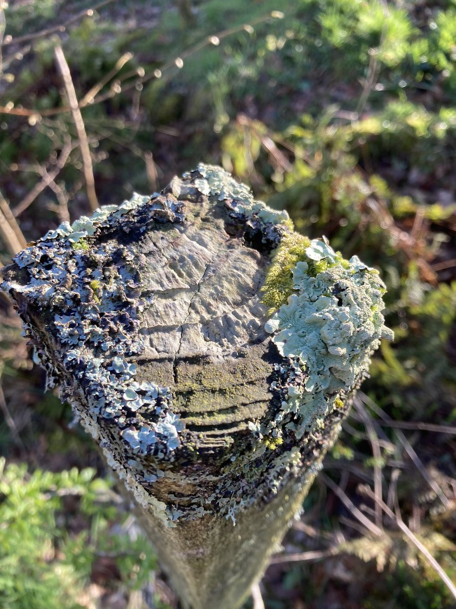 First post for a while.