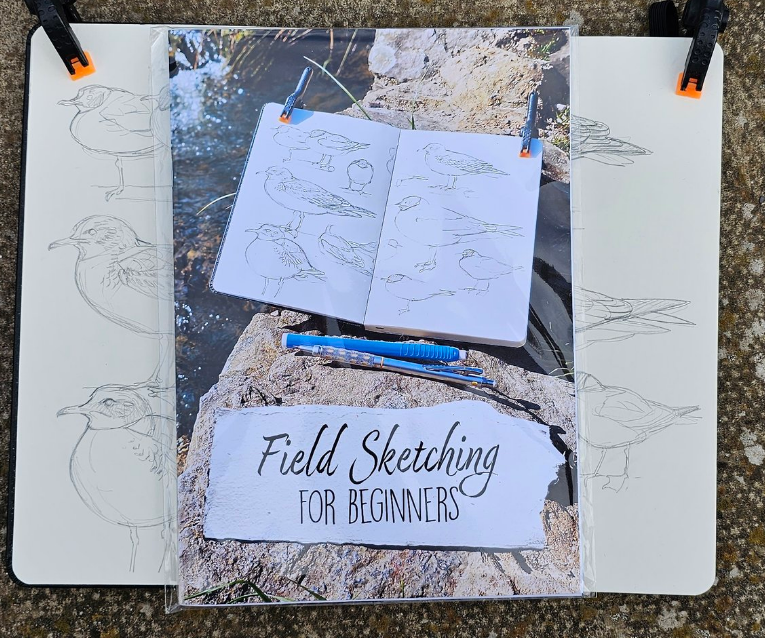 🦩 Crow Artist 🦩 tweet media