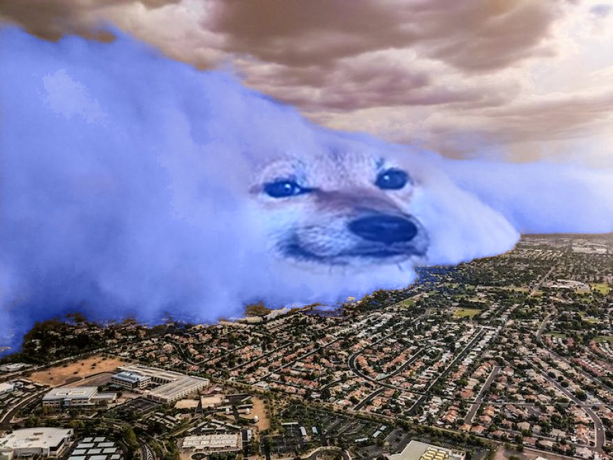 Based Cheebs | $BHEEBS tweet media