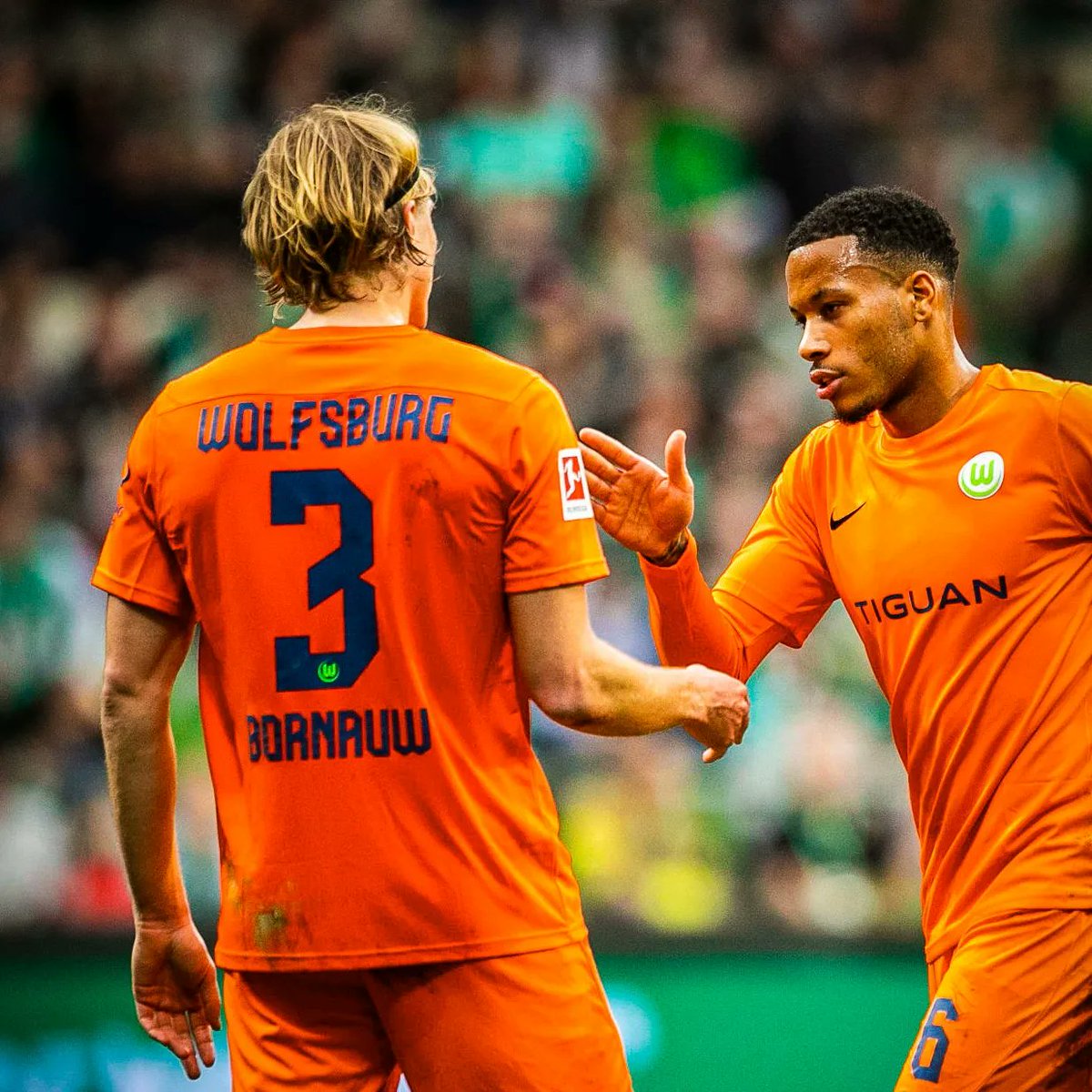 Seb Bornauw 23 tweet media