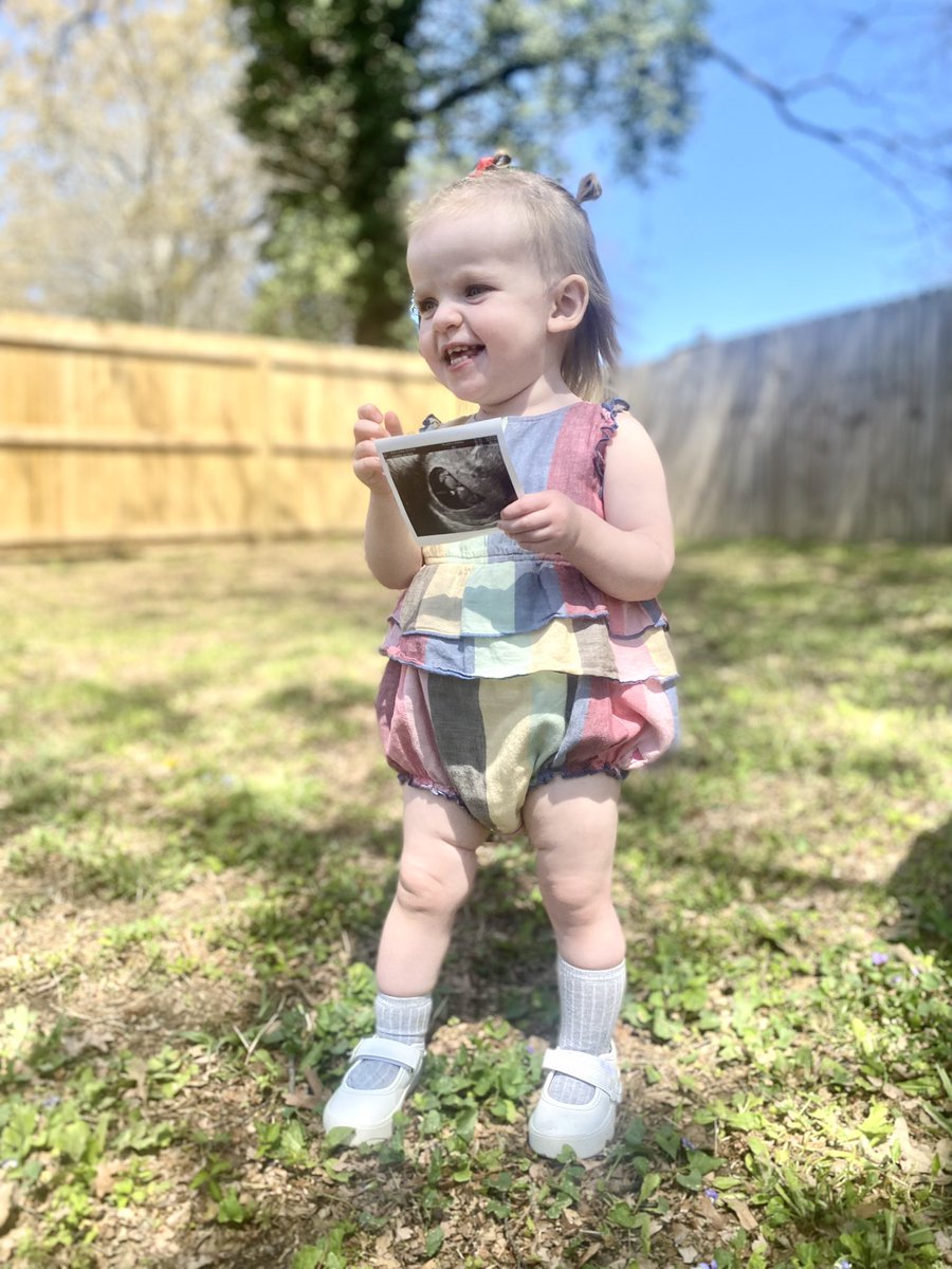 Kevin Frisbee tweet media