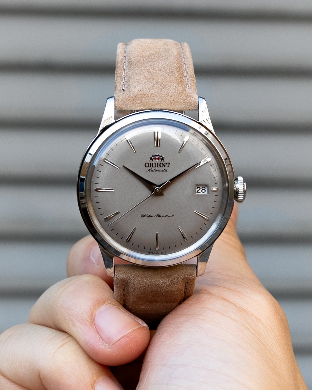 Orient bambino v4 grey clearance