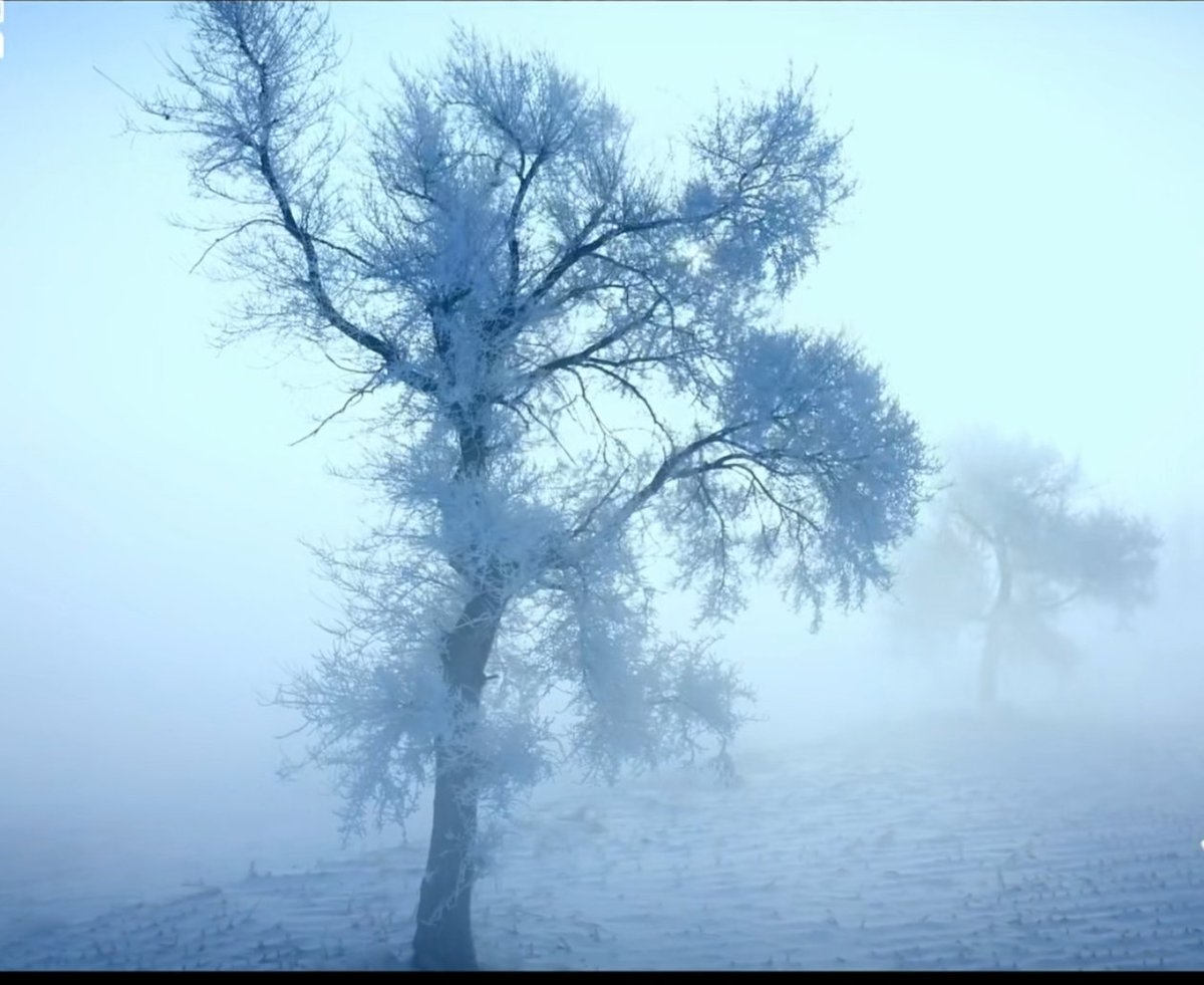 Exileeeee_'s tweet photo. 我是那个在黑暗中大雪纷飞的人呐。 https://t.co/g5q2WuVdb7