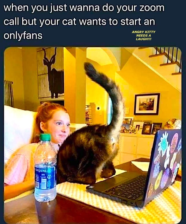 angrykittylaugh's tweet photo. Cats can be
hard to live with.
#angrykittymeme -#comedy -#Memes -#BBMzansi-#meme -#Bitcoin -
#comedymeme - #Caturday 
They are gods
#comedy +#comedymemes+#angrykitty- #FCBBVB-#angrykittymemes-#Cat-#catsmeme- #catmeme-#catsmemes-#cats-#catmemes-#cats
who expect to be worshipped. https://t.co/yUTXt4owXU