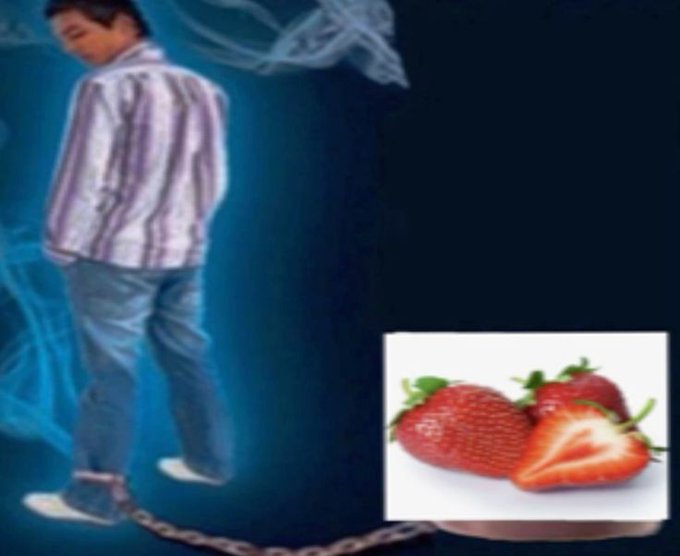 Gorda Frutillera’s pics and videos