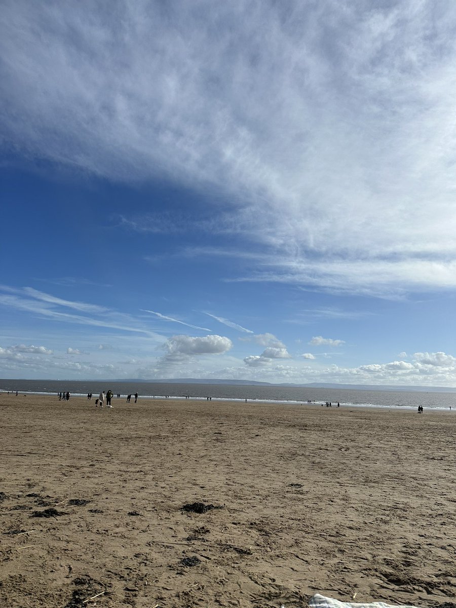 Dylan Vining tweet media