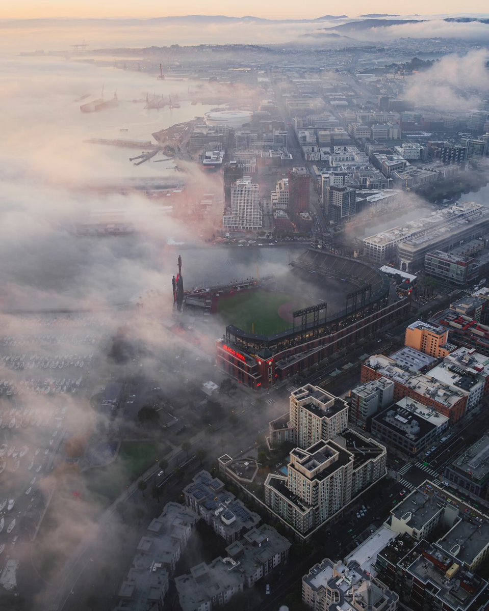 OracleParkSF's tweet image. Rise and shine 🌤️

(📸 marcus_aureliuz/IG)
