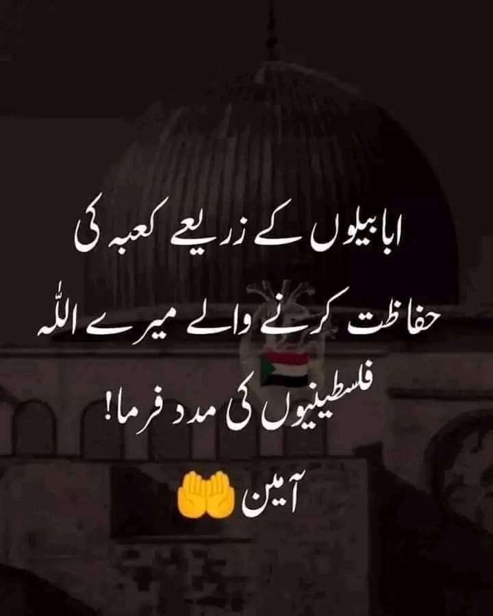 Zahra Ahmad tweet media