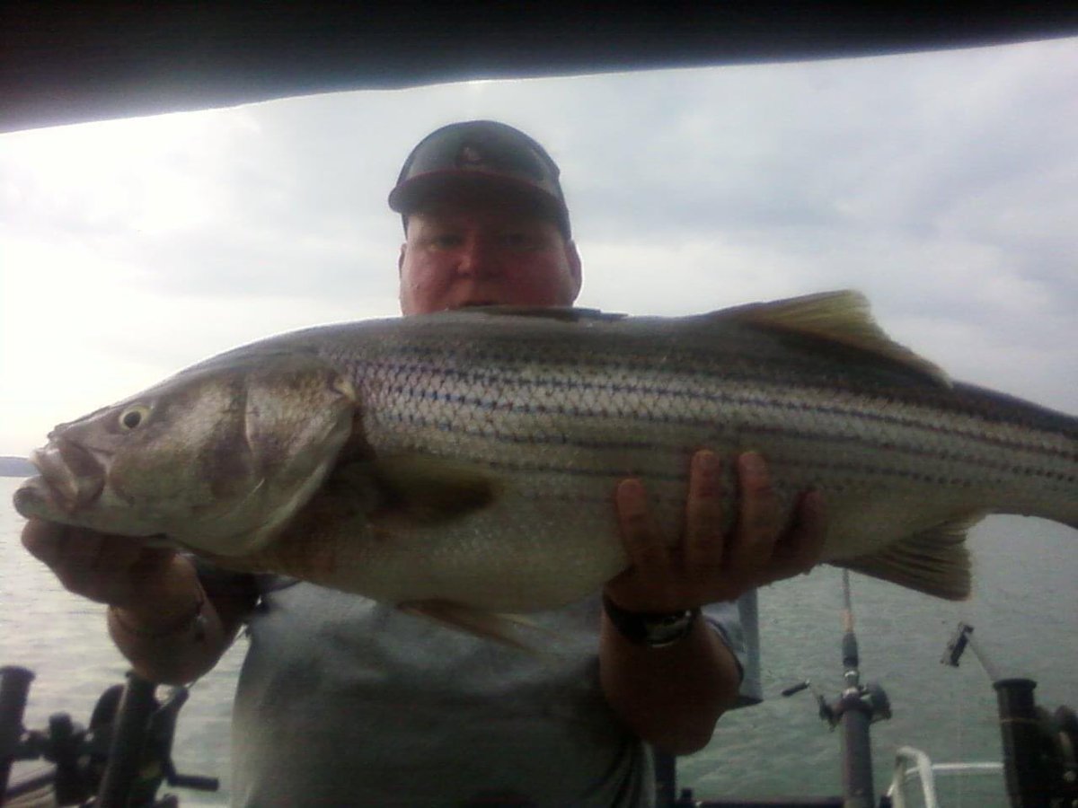 Scott Maurice Willard tweet media