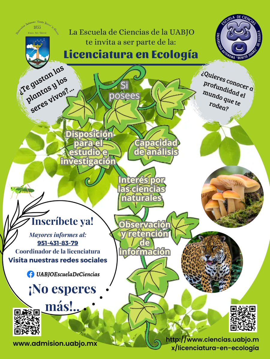 Licenciatura en Ecología UABJO tweet media