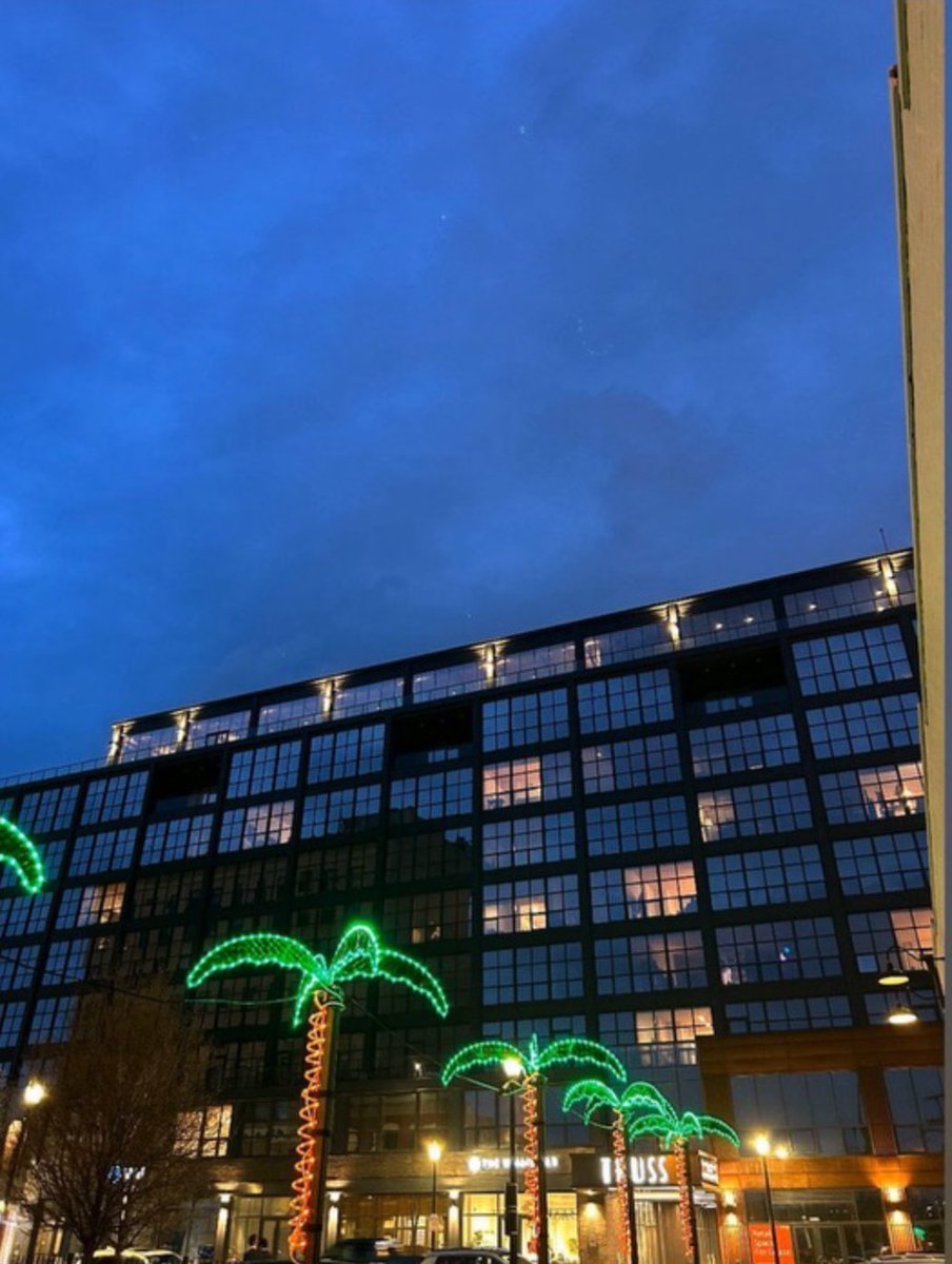 Avo Modern Mexican tweet media