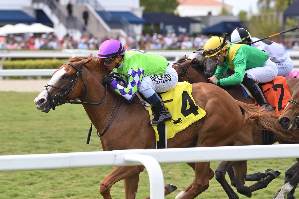 Vive Veuve splits rivals to get the victory in the Sanibel Island Stakes, @jjcjockey at the reins for trainer @JackSisterson and owner Sterling Stables. #GulfstreamPark #ChampionshipMeet