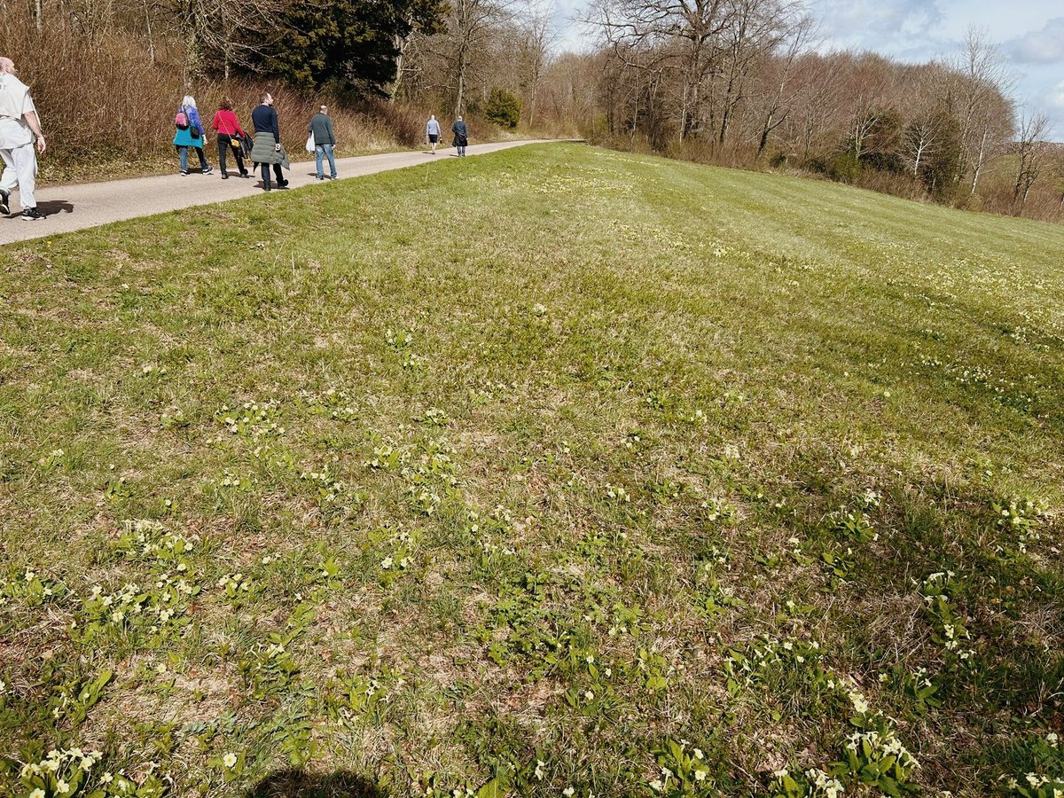 Happy Saturday! We hope you’ve had a good one. We enjoyed sunny walks in Worthing and Arundel today! ☀️