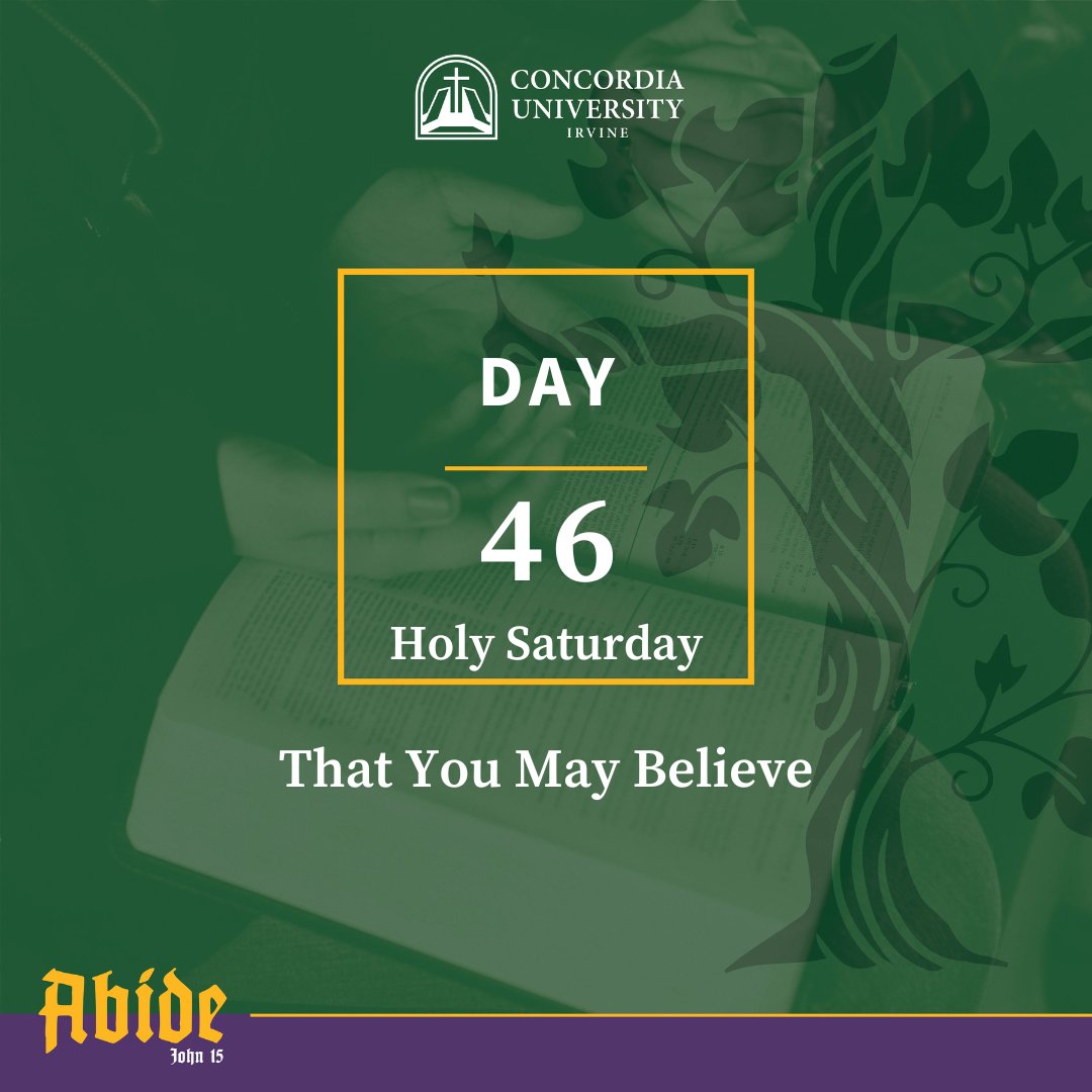 abbeywest_cui's tweet photo. Whether the first time or one-thousandth time we read it, eyes of faith see things we never noticed before and we are once again drawn to the wonderful grace of God. 

To discover more, read today's Lenten Devotion here https://t.co/L8FCqRO7zO https://t.co/uCR90HkbI5