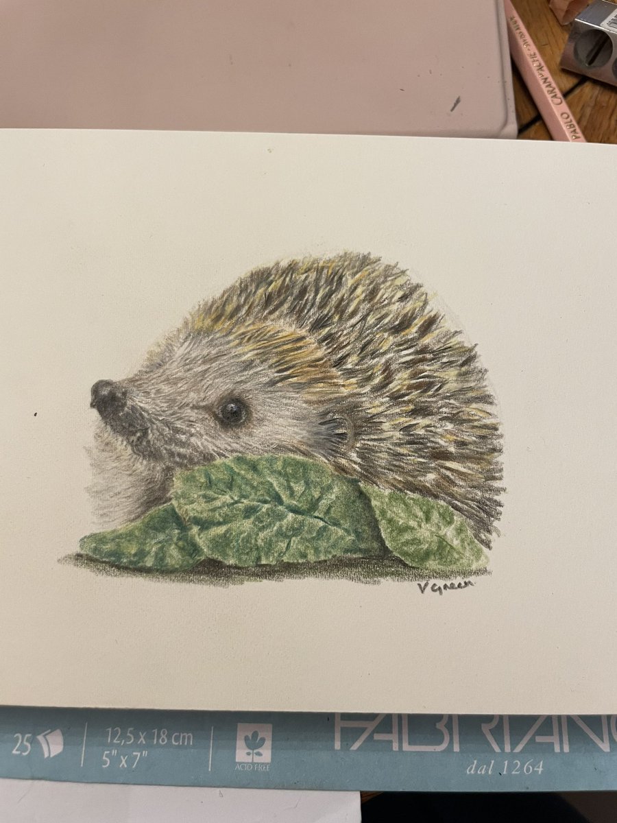 A few of my latest art pieces… an artist in training… and loving the adventure #colourpencilart