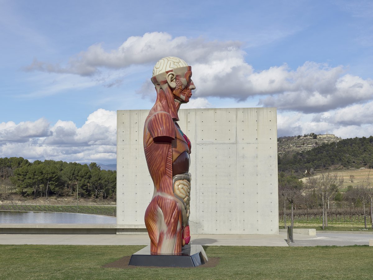 #Didyouknow that #DamienHirst is the first #artist to take over the entire #ChateauLaCoste estate? 🤔

The estate is 500 acres & includes five #exhibition pavilions.

Learn more about his current #exhibition there, 'The Light That Shines', on show until 23 June:…