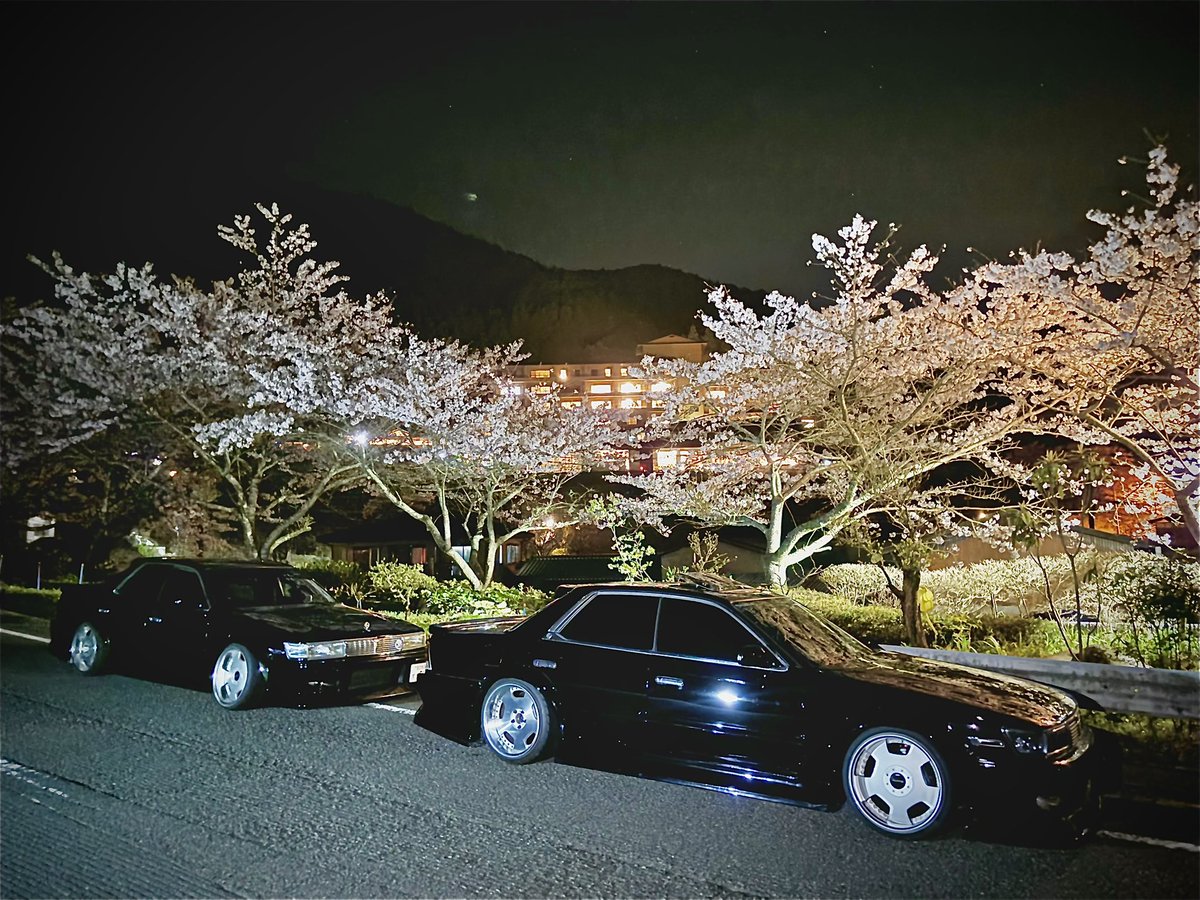 fumiyan1224's tweet image. #夜桜
#c33laurel
 #KTworks
