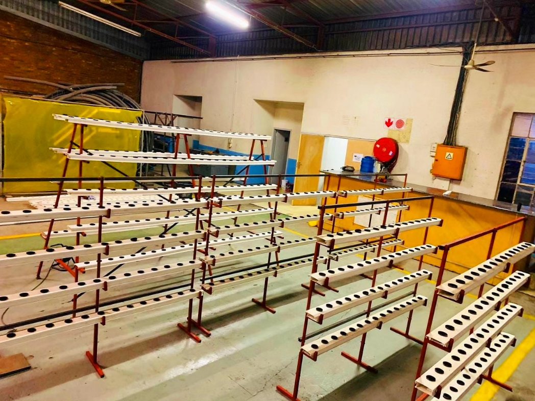FarmingOracle's tweet photo. ☘ New Age Farming ☘

- Hydroponic Manufacturing 

❗☘ The Future of Hydroponics ☘❗

For project/product orders : 

Oraclefarmingtech@gmail.com 

WhatsApp : 0823310400

Warehouse

Rustenburg 
Zinnaville 
Vanadium Street 
Office Block 1 Warehouse Unit 2 

#hydroponics https://t.co/e112wiJwNv
