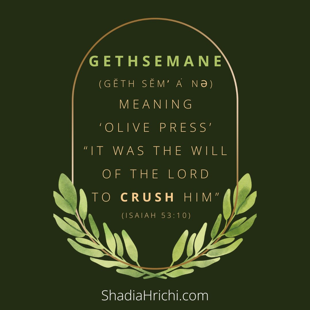 GETHSEMANE (Gĕth sĕmʹ ȧ nə) means ‘olive press.’ “It was the will of the LORD to crush Him” Isaiah 53:10 #gethsemane