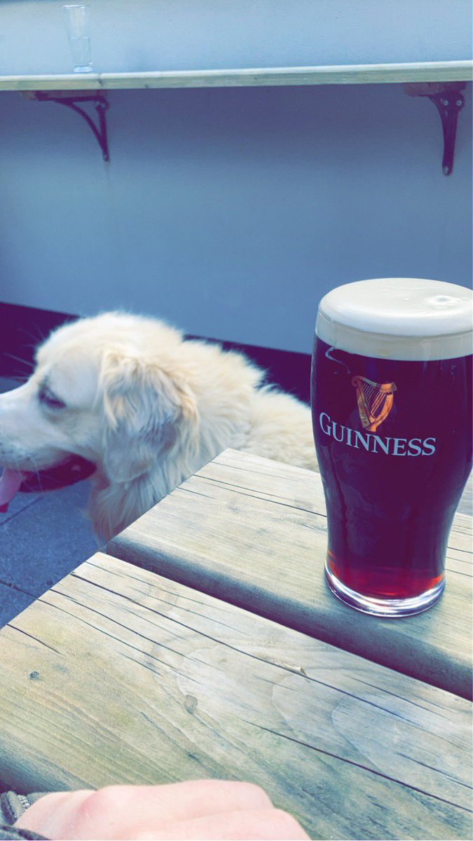 Pints with the big man 🍺 🐶