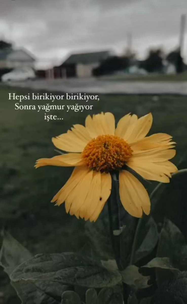 Hepsi birikiyor birikiyor, sonra yağmur yağıyor işte....🍂