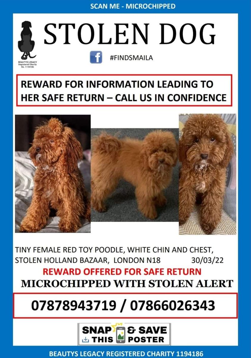 #StolenSmaila TWO YEARS MISSING 30 March 2022 #HollandBazaar #London #N18 Please help us find Smaila Possibly she is in Scotland, please share Please help us bring her home ☎️ 07878 943719 ☎️ 07866 026343