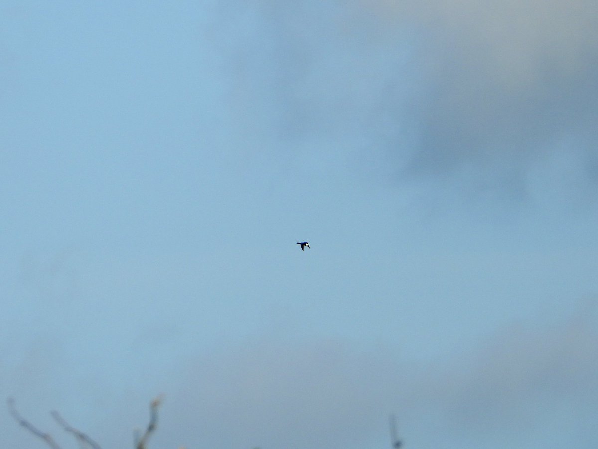 John Lynch tweet media