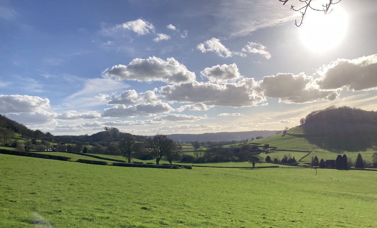 Susan Jones tweet media