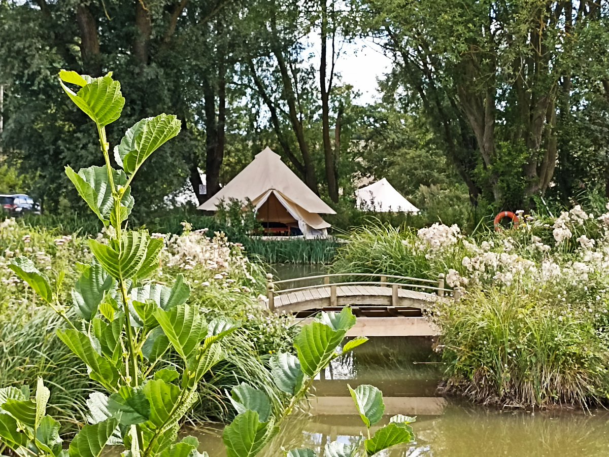 Planning a family reunion or larger group get-together? Mix and match up to EIGHT lakeside and/or meadow bell tents for your event. Ready to book? Search “RumBridgeFisheries” - or give us a call. #glamping #carp #fishing #holidays #short-breaks #getaways #Suffolk