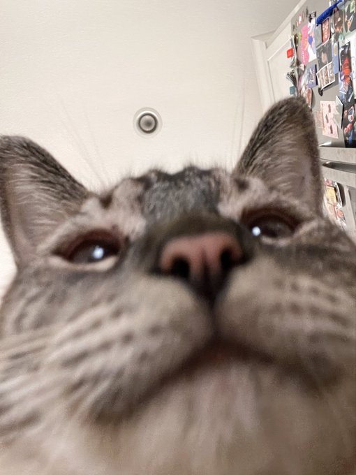 &ldquo;have u backed the Frankenbabes Kickstarter yet&rdquo; https://t.co/EC3X4sPdyg<a href="/tag/thebadbatchspoilers"class="tags"><span>#thebadbatchspoilers</span></a>