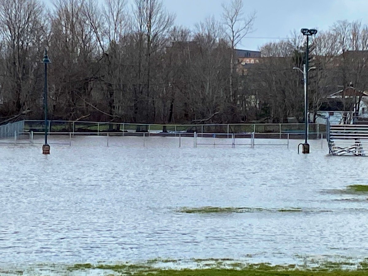 Going to pass on the dog park today....