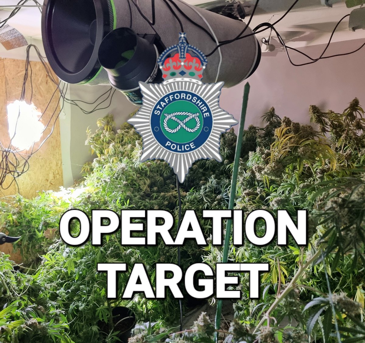 GROW; This morning, officers discover a large cannabis grow at a property in Cannock. Entry was gained and the grow was dismantled, evidence seized and enquiries are now underway to identify those involved. 👮‍♂️👃 #CannabisGrow #OpTarget #Cannock #Police