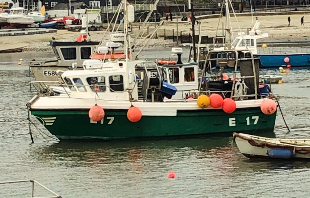 #MeetOurFleet 

This is J.B.P a 26ft Cygnus fished out of #LymeRegis by Jon Shuker, Sam Shuker, George Bruford & team.

#eatourfish #fishermenled
#grassroots #fishing #lowimpact #seafood #collaboration #cic 

Visit our website: lbfcic.com/meet-our-fleet/