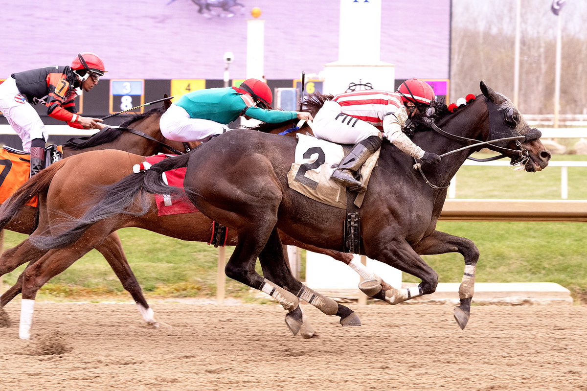 8YO Blame gelding Armando R back in winner’s circle after last-to-first score in 1 1/16M optional claim $40K (tag) @LaurelPark. Ridden by Horacio Karamanos for @DilodovicoS @LlcEquine and owner Ron Cuneo. Now 9-8-7 in 38 starts. (Jim McCue 📷)