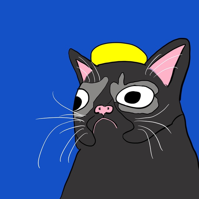 trempuss's tweet photo. @Cold_xyz @Roaring___Kitty please, stop betting on wrong cats, Cold https://t.co/vVIoITMwSh