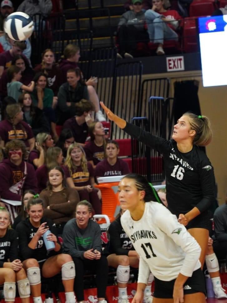 If you’re an athletic trainer, share a photo of yourself being an athletic trainer. No caption needed. Share the challenge with someone else. #NATM2024 #HeadtoToe