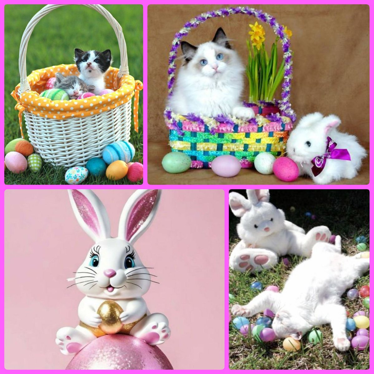 #HoppyWeekend #EasterCaturday @1feralkat @1gingerbeauty @AlysonMeadowcr1 @MacTheGingerCat @aka_layla #CatsOfTwitter @GordonHarmony