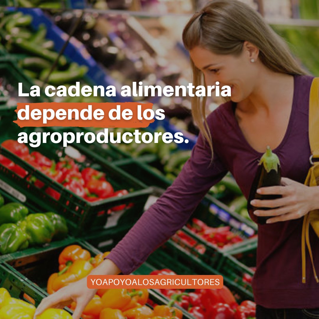 La cadena alimentaria depende de los agroproductores. Es hora de reconocer su esfuerzo y garantizarles un pago oportuno. #Solidaridad #Agricultura #ElJarillo #SanPedro #Timotes #ElJunquito #ColoniaTovar #BajoSeco @ansa_venezuela @FEDEAGRODIGITAL