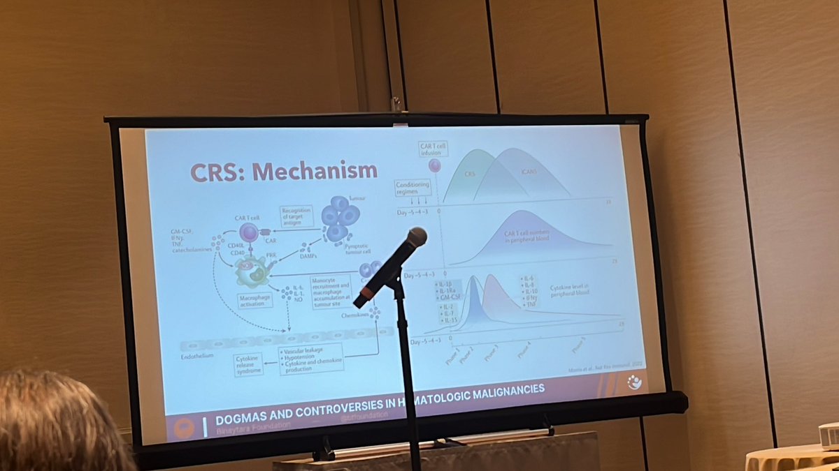 Dr. Anupama Kumar discussing about CRS/ ICANS @btfoundation