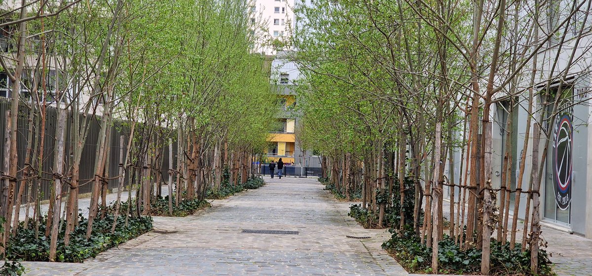 FredericMignard's tweet photo. #JOParis2024, Paris s'active et vire au vert. Après 10 ans à la tête de l'executif, Anne Hidalgo a réussi son pari, changer la ville durablement. La porte Maillot, la Porte de la Chapelle... La lutte est sans égal contre le réchauffement climatique.  (1/8) https://t.co/4MXxdO80Ok