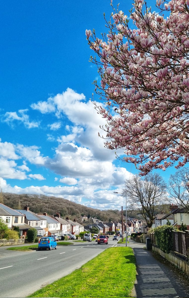 Blue skies, fluffy white clouds, blossom on the trees, and warm spring sunshine. It was a beautiful day to run around the streets of #Sheffield.