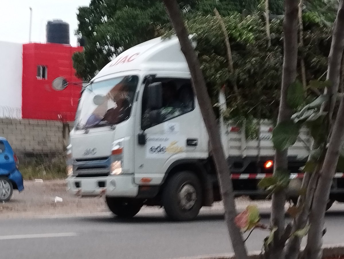 Logan_Jimenez's tweet photo. Es lamentable ver qué brigadas de la @EdeesteRD estén eliminando árboles en la avenida Hípica próximo al Hipódromo en SDE. Tanto sacrificio que nos da ver crecer esas plantas tan hermosas que nos dan sombra. https://t.co/khBExjtSiw